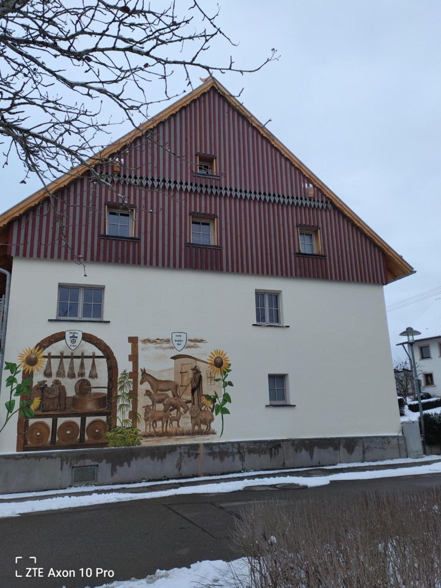 Alte Oelmuehle, Spaeter Schaefershaus ドナウエッシンゲン エクステリア 写真